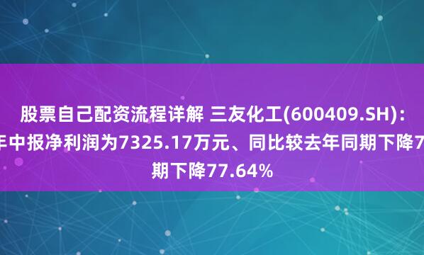 股票自己配资流程详解 三友化工(600409.SH)：2025年中报净利润为7325.17万元、同比较去年同期下降77.64%