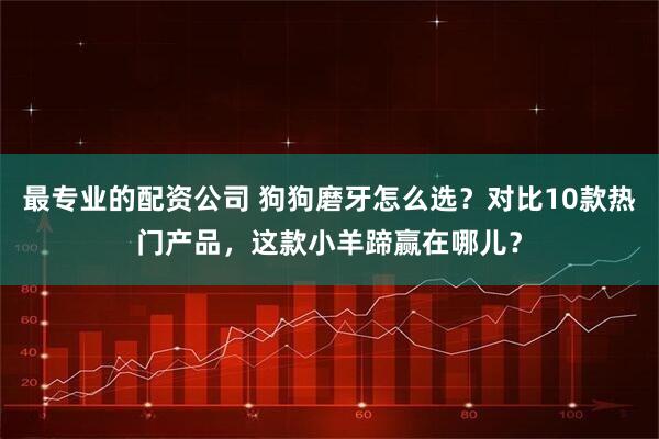 最专业的配资公司 狗狗磨牙怎么选？对比10款热门产品，这款小羊蹄赢在哪儿？